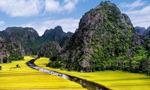 Hoa Lu - Tam Coc (Daily)