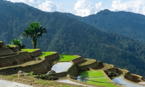 Ha Giang Loop 4 Days Small Group Motorbike Tour (5-10pax)