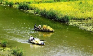 From Hanoi: Ninh Binh, Trang An, Bai Dinh, and Mua Cave Trip