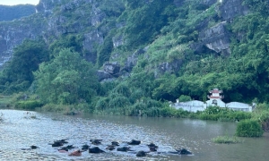 Ninh Binh Sunset Tour And Visit Hoa Lu Ancient Town