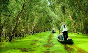 Cu Chi Tunnels & Mekong Delta Tour (Cu Chi - My Tho – Ben Tre)