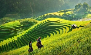 Sapa Tour + Bac Ha Market By Bus 2 Days 1 Night Hotel in Sapa