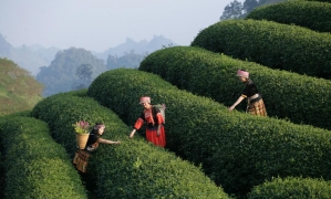 Vietnam package tour 16 days 15 nights from the North