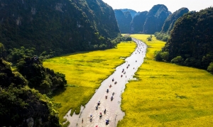 Essence of Vietnam: A 7-Day Journey Through North & South