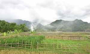 Hanoi: Hoa Lu, Trang An Caves, & Mua Cave Day Trip and Lunch
