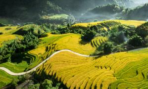 5-Day Northern Vietnam Discovery: Hanoi, Sapa & Ha Long Bay