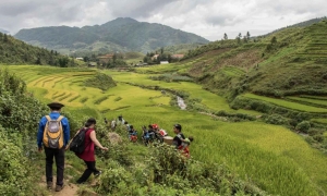 Sapa Tour By Bus 2 Days 1 Night 3-Star Hotel in Sapa (Option 1)