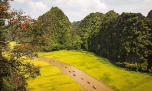 From Hanoi: 1D group tour to visit Ninh Binh - Lunch & Bus