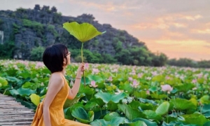 From Hanoi: Trang An Boat, Bai Dinh Pagoda, & Mua Cave Tour