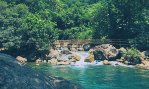 Paradise Cave and Mooc Spring Private Tour