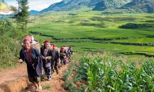 Sapa Tour 1 Day - Y Linh Ho - Lao Chai - Ta Van Village