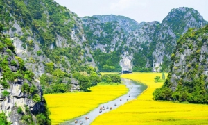 From Hanoi: 1D group tour to visit Ninh Binh - Lunch & Bus