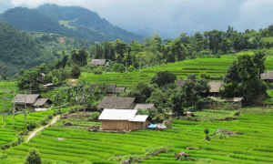 Sapa Tour 1 Day - Y Linh Ho - Lao Chai - Ta Van Village