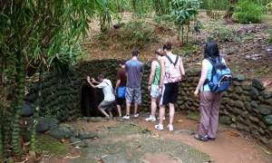 Essence of Vietnam: A 7-Day Journey Through North & South