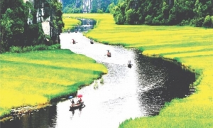 From Hanoi: Ninh Binh, Trang An, Bai Dinh, and Mua Cave Trip