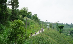 Ha Giang Loop 4 Days Small Group Motorbike Tour (5-10pax)