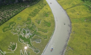 Hanoi: Ninh Binh Day Trip with Tam Coc, Hoa Lu, and Mua Cave