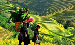 Sapa Tour + Bac Ha Market By Bus 2 Days 1 Night Hotel in Sapa