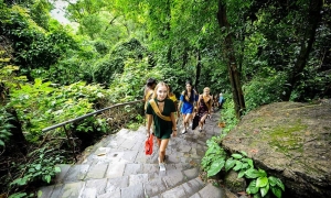 Phong Nha Cave and Paradise Cave Group Tour