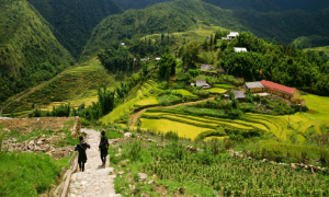 Sapa Tour 1 Day - Y Linh Ho - Lao Chai - Ta Van Village