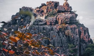 Hanoi: Ninh Binh Day Trip with Tam Coc, Hoa Lu, and Mua Cave