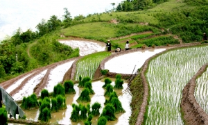 Sapa Tour 1 Day - Cat Cat Village - Cat Cat Waterfall - Sin Chai Village