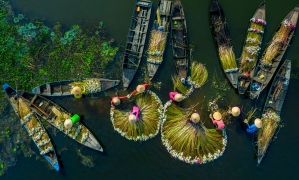 Essence of Vietnam: A 7-Day Journey Through North & South
