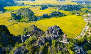 From Hanoi: Trang An Boat, Bai Dinh Pagoda, & Mua Cave Tour