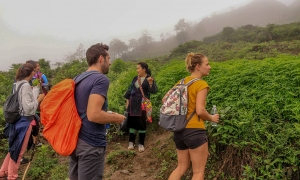 Sapa 2 Days Trekking