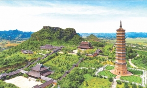 Hanoi: Hoa Lu, Trang An Caves, & Mua Cave Day Trip and Lunch