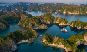 Lan Ha bay tour 1 day