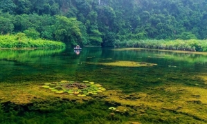 Hanoi: Hoa Lu, Trang An Caves, & Mua Cave Day Trip and Lunch
