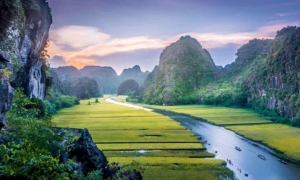 Hanoi: Ninh Binh Day Trip with Tam Coc, Hoa Lu, and Mua Cave