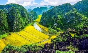 From Hanoi: Tam Coc, Hoa Lu & Mua Caves Full-Day Trip