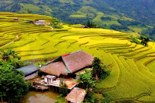 Sapa Tour